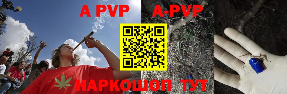 Alfa_PVP СК Москва